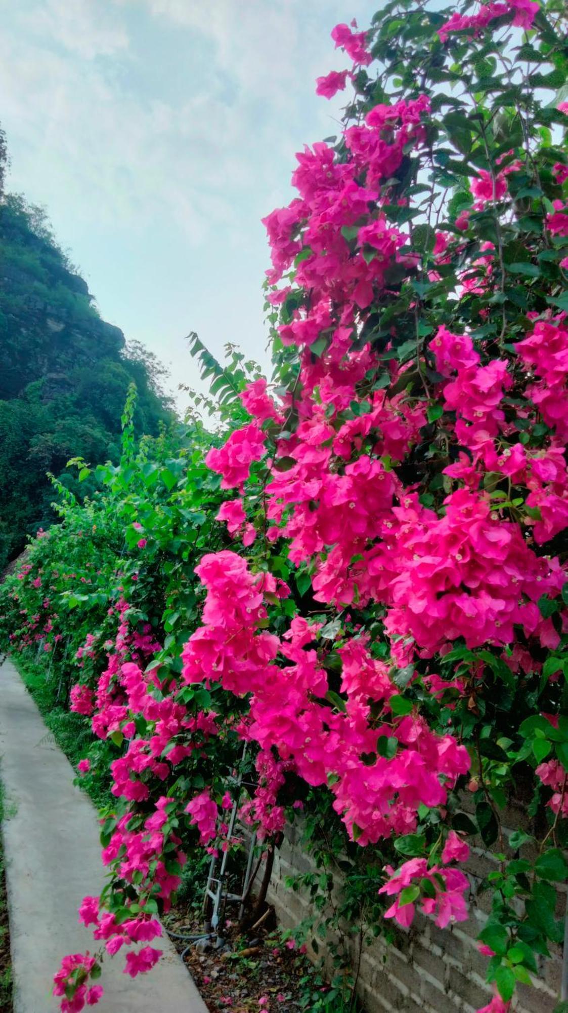 Hang Mua Eco Garden Xuan Son Exterior photo